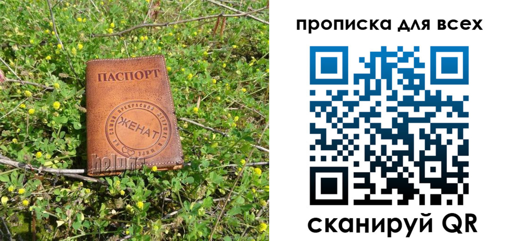 прописка поиск в Иланском